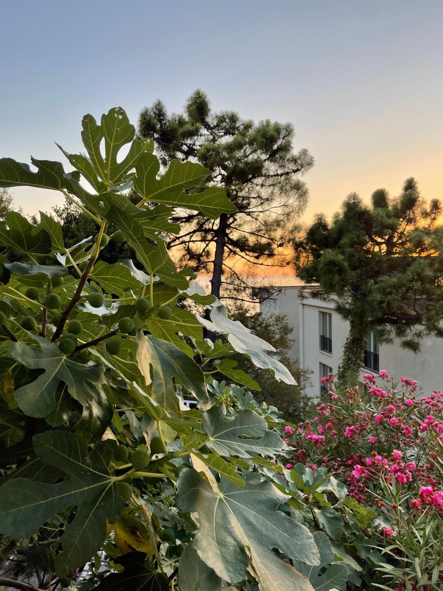 Apartments Sana Sveti Stefan Buitenkant foto